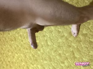 Harry1501's Cock image