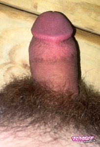 AustinT440's Cock image