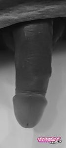 Xxxxbig's Cock image