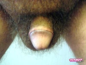 Sphlaugh's Cock image