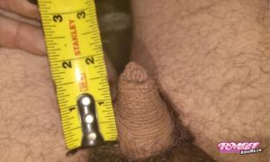 Toulouse's Cock image