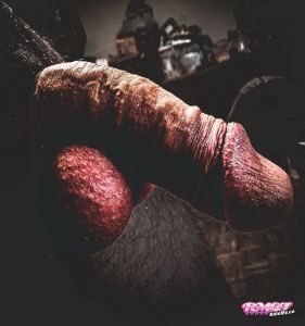 Coglione95's Cock image