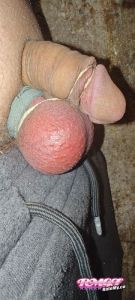 Coglione95's Cock image