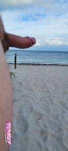 Roadtripdick's Cock image