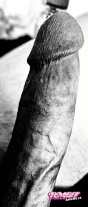 09inchplus's Cock image