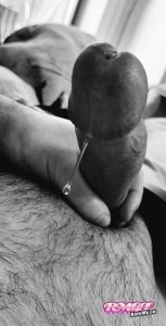 Petertheman's Cock image