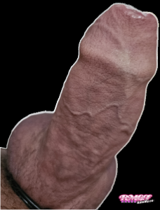 Jeffjeff15's Cock image