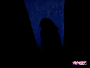 Wellsigh's Cock image