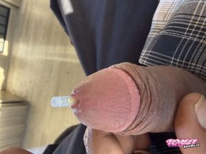XDWX's Cock image