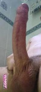 Justaguy101's Cock image