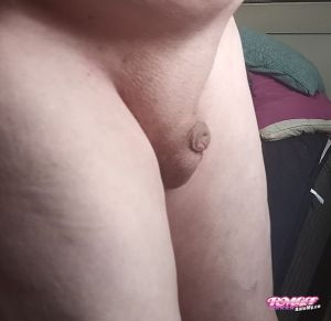 TinydickLee's Cock image