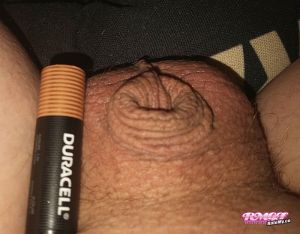 TinydickLee's Cock image