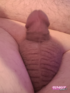 Sphchastitysub's Cock image