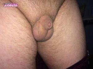 Littleclitty's Cock image