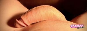 Benjaminsson's Cock image