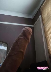 Dicki91's Cock image
