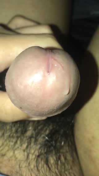 Precum Close Up (homemade video)
