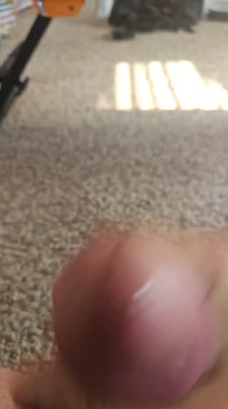NoTitle (homemade video)